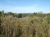 000 Highway 127 S photo